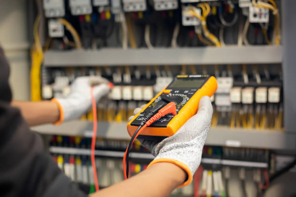 Best Electrical Panel Upgrades  in Abbotsford, WI